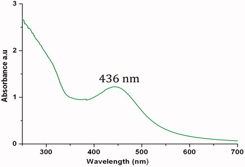 Figure 2. UV-Vis spectrum of colloidal solution of IH-AgNPs shows characteristic SPR peak at 436 nm.