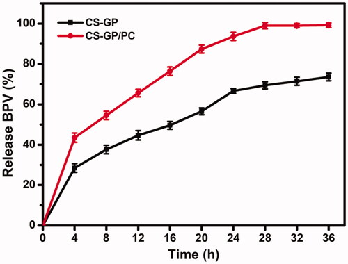 Figure 8. In vitro BPV Drug release profile (%) CS-GP hydrogel and CS-GP/PC polymeric hydrogel under sink conditions at pH 7.4.