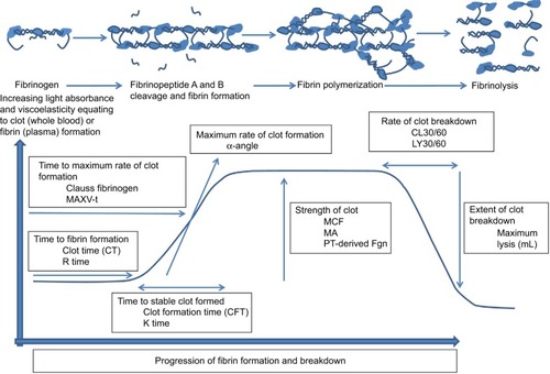 Figure 2 A schematic representation of the formation of a fibrin clot including time to initiate coagulation, rate of formation of fibrin, formation of the stable clot, and strength of the clot once formed. Individual parameters available for the assessment of fibrinogen status are annotated.
