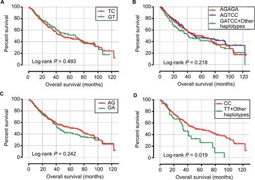 Figure 5 Survival curves of different haplotypes.Notes: OS stratified by (A) block 1 haplotypes, (B) block 2 haplotypes, (C) block 3 haplotypes, (D) block 4 haplotypes.Abbreviations: OS, overall survival.