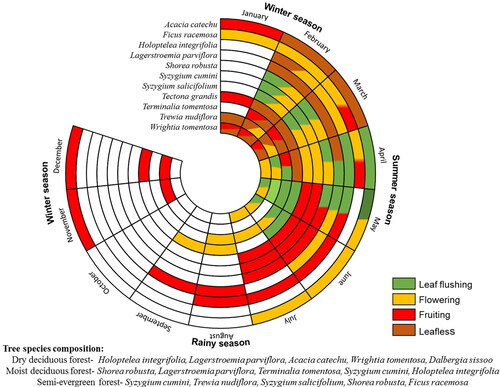 Figure 3. Asynchrony in phenological phases of the dominant trees (Dominance based on Important Value Index (IVI)) of different forest type.