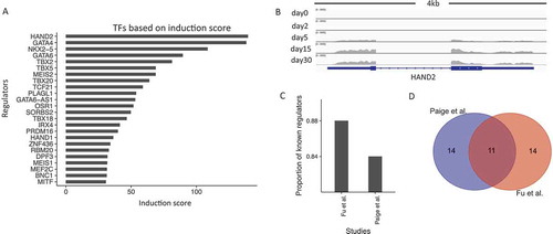 Figure 3. Expression-based induction score captures a large fraction of well-known cardiac regulators. (a). Bar-plot of the top 25 regulators (y-axis) ranked by their induction scores (x-axis). (b). Genome browser view of RNA-Seq data for HAND2. (c). The proportion of known cardiac regulators in the top 25 hits based on the ranking score by our study and by Paige et al. (d). Venn-diagram of the top 25 regulators identified by our ranking approach and by Paige et al.