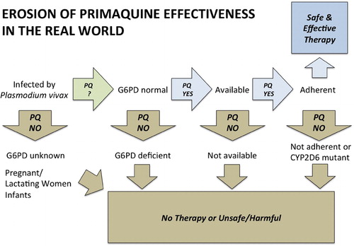 Figure 2. Diagram illustrating the step-wise loss of primaquine effectiveness in endemic settings.