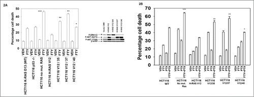 Figure 2. RAS-dependent PI3K signaling plays a protective role against FTY720 toxicity. (A) HCT116 colon cancer cells (Wild type cells expressing K-RAS D13; p53 null −/− cells; null −/− cells with K-RAS D13 deleted; null cells expressing H-RAS V12; null cells expressing H-RAS V12-35 that activates RAF-1; null cells expressing H-RAS V12-40 that activates PI3K) were treated with vehicle (DMSO), or FTY720 (2.0 μM). Twenty four h after drug treatment cells were isolated and viability determined by trypan blue exclusion assay (n = 3 +/− SEM). *P < 0.05 greater than corresponding value in HCT116 −/− H-RAS V12 cells; **P < 0.05 greater than corresponding value in HCT116 −/− H-RAS V12 / 40 cells; ***P < 0.05 greater than corresponding value in HCT116 WT cells. (B) HCT116 cells were treated with Vehicle (VEH), pemetrexed (PTX, 0.5 μM) FTY720 (FTY, 0.25 μM) or the drugs in combination. Twenty four h after drug treatment cells were isolated and viability determined by trypan blue exclusion assay (n = 3, +/− SEM). *P < 0.05 greater than corresponding value in HCT116 −/− H-RAS V12 cells; **P < 0.05 greater than corresponding value in HCT116 −/− H-RAS V12 = 40 cells; ***P < 0.05 greater than corresponding value in HCT116 WT cells.