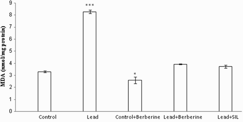 Figure 1 Effects of long-term berberine administration on lipid peroxidation measured as hepatic MDA content in control, lead, berberine (50 mg/kg) treated control (Control + Berberine), berberine (50 mg/kg) treated lead (Lead + Berberine), and silymarin (200 mg/kg) treated lead (Lead+ SIL) groups (n = 7) at 8 weeks after treatments. The data are represented as mean ± SEM. *P < 0.05 and ***P < 0.001 (as compared to control group).