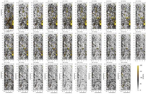Figure 11. A composite set of time-slice images from surface to about 108 ns (corresponding to a depth of about 4.6 m). The strong reflection anomaly is related to subsurface fracture in limestone (Al-Mokattam site), where complexity and continuity of the fracture is not clearly visible in time-slice images.