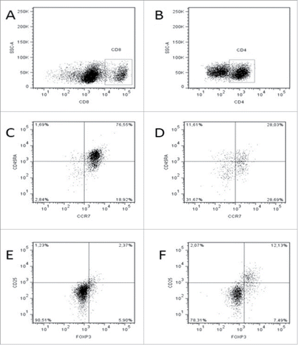 Figure 3. Flow cytometry analysis: Central memory T cells (TCM;CD45RA−CCR7+) and effector memory T cells (TEM; CD45RA−CCR7−) gated on CD3+CD8+ lymphocytes (A) of representative patient PBMCs (DL3), isolated at the baseline (C) and after six treatment lines (D) Regulatory T cells (Treg; CD25+Foxp3+) gated on CD3+CD4+ lymphocytes (B) of representative patient PBMCs, isolated at the baseline (E) and after six treatment lines (F).