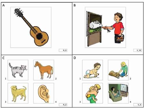 Figure 1. Examples of picture boards in Polish version of Cross-Linguistic Lexical Tasks (A: noun production, B: verb production, C: noun comprehension, D: verb comprehension).