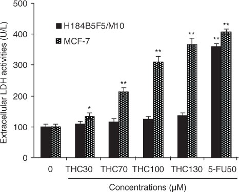 Fig. 2 Cytotoxicity of THC to MCF-7 cells. MCF-7 cells were incubated with different concentrations of THC (0, 30, 70, 100, and 130 µM), and authorized 5-fluoro-2, 4 (1 h, 3 h) pyrimidinedione (5-FU, 50 µM) was used as positive control for 24 h, respectively. Cytotoxic effect was measured by LDH assay and expressed as U/L of LDH released from the MCF-7 cells after 24 h of incubation. All data were reported as the mean±SD of three separate experiments, and asterisks denote a statistical significance in comparison.