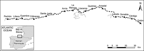 Fig. 1. Location of the study area. Preliminary division of the coast of Cantabria into 1 km stretches (grey and black shading). Location of biological sampling sites as represented by triangles. Map projection: ETRS 1989.