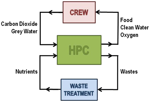Figure 1. Diagram showing the different mass fluxes between the higher plant chamber (HPC) and the crew and waste treatment unit of a regenerative life-support system (not including crew organic waste treatment in this figure).