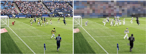 Figure 1. Example of unblurred videos (a) and blurred videos (b).