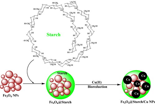 Scheme 1. Preparation of Fe3O4@starch/Cu nanocomposite.