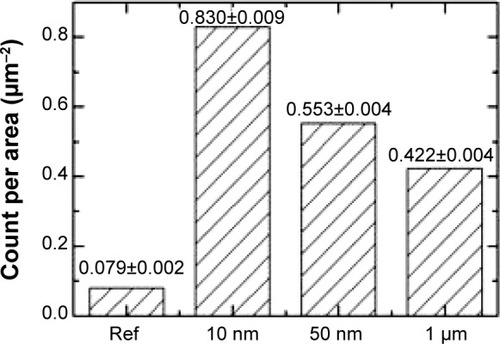 Figure 7 Average (x±SX) surface concentration of pits of all transverse dimensions detected on the surfaces of cells of each group of rats administered magnetite particles of different diameters and of control rats (Ref).