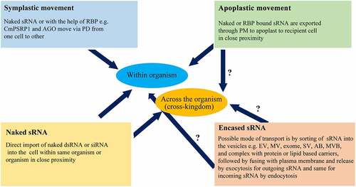 Figure 3. Description of strategies of sRNA movement across the species.
