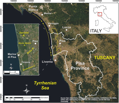 Figure 1. Location map of the study area. The yellow lines represent the direction of the littoral drifts along the Northern Tuscany littoral cell. The yellow dotted line outlines the area belonging to the Migliarino – San Rossore – Massaciuccoli Regional Park.