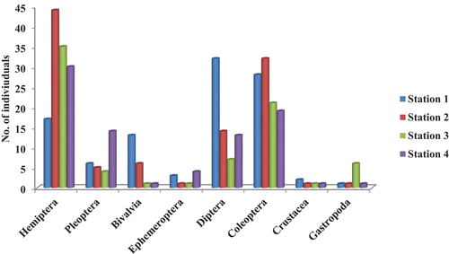 Figure 2. Abundance of major macroinvertebrates in the stations sampled.