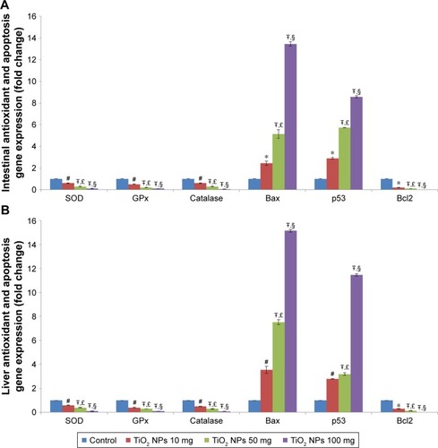 Figure 2 Effect of TiO2 NPs on antioxidant gene expressions and apoptosis pathway.Notes: Treatment of rats with TiO2 NPs significantly reduced antioxidant gene expressions and induced apoptosis pathway in the intestine (A) and liver (B) of different treated groups. Values were expressed as mean ± SD. *P<0.05, #P<0.01, and ŦP<0.001 as compared to the control group. £P<0.05 as compared to the “Control +10 mg/kg NPs” group and §P<0.05 as compared to the “Control +50 mg/kg NPs” group.Abbreviations: CAT, catalase; GPx, glutathione peroxidase; SOD, superoxide dismutase; TiO2 NPs, titanium dioxide nanoparticles.