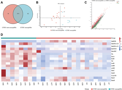 Figure 2 Transcriptome analysis of 25 carbapenem-resistant Acinetobacter baumannii isolates. (A) Venn plot of genes expressed in cefiderocol-non-susceptible isolates and eight cefiderocol-susceptible isolates. (B) Principal component analysis score plots of total transcriptome data. (C) Volcano plot of differentially expressed genes (DEGs) in each study group. DEGs were defined as genes with fold change > 1.5, P ≤ 0.05, and false discovery rate ≤0.01. (D) Expression levels of genes related to cefiderocol resistance.