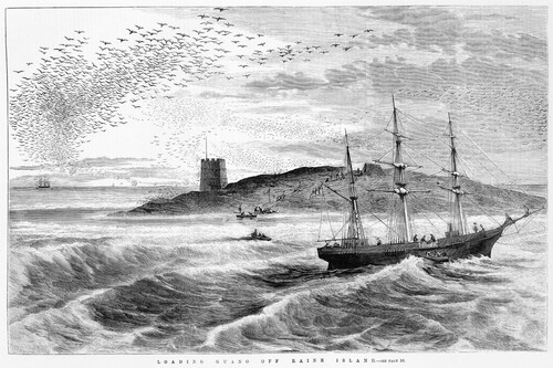 Figure 7. ‘Loading Guano off Raine Island’, artist unknown, in Illustrated Australian News for Home Readers, 30 January 1873, showing a beacon tower at Raine Island, constructed from phosphatic sandstone extracted from the island itself where guano mining infrastructure and activity is also depicted