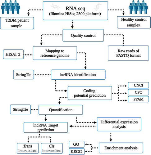 Figure 1 Workflow of lncRNA and mRNAs analysis for patients with T2DM versus healthy controls.