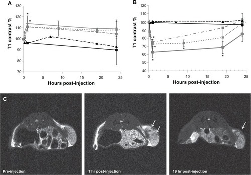Figure 5 In vivo magnetic resonance imaging and contrast measurements of a mouse bearing a C4-2 xenograft. Longitudinal (A) and transverse (B) contrast percentage measured for mice bearing C4-2 xenografts and injected with either J591-SPMs (diamond, solid gray line), J591-SMs (square, dotted gray line), IgG-SPMs (square, dashed gray line), paclitaxel only (triangle, dashed black line), or nothing (square, solid black line). Representative T2-weighted magnetic resonance images of a mouse injected with J591-SPMs are shown in (C).Notes: The arrows point to areas in the C4-2 xenograft that showed dark contrast enhancement at one hour following injection in the middle frame and an area that still showed contrast enhancement 19hours after injection in the far right frame. *P < 0.05.Abbreviations: SMs, superparamagnetic iron platinum nanoparticle micelles without drug; SPMs, superparamagnetic iron platinum nanoparticles and paclitaxel in a mixture of PEgylated and biotin-functionalized phospholipids.