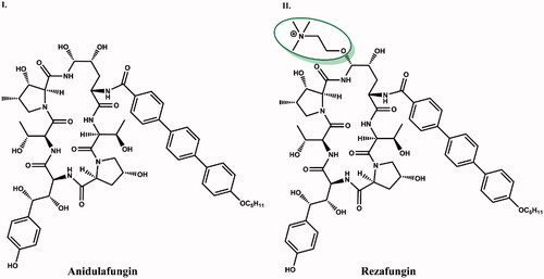 Figure 12. Structure comparison of anidulafungin (I) and rezafungin (II). Choline amine ether at the C5 ornithine position distinguishing the two compounds is shown in green circle.