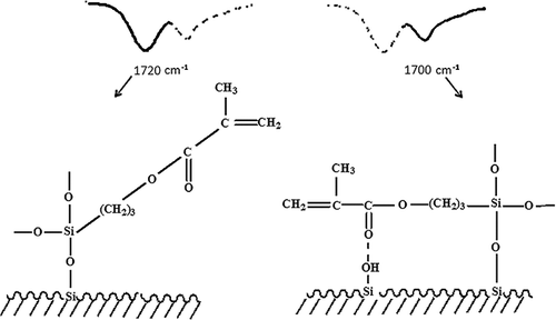 Figure 2. Molecular structure and the corresponding carbonyl FTIR peaks of monomolecular γ-MPS molecules.