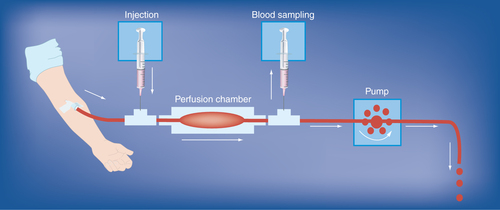 Figure 5.  Human ex vivo parallel-plate blood perfusion device.Blood is drawn from an antecubital vein by the pump. Ex vivo studies of therapeutic agents not requiring in vivo metabolism can be injected upstream to the perfusion chamber with the reactive surface. Blood sampling for biomarker analysis can be collected downstream to the perfusion chamber.Reproduced with permission from [Citation19] © Future Medicine (2007).
