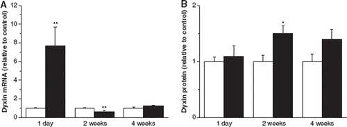 Figure 4. The effect of myocardial infarction on left ventricular dyxin mRNA levels (A). Results (mean±SEM, n=5–8) are expressed as a ratio of dyxin mRNA to 18S mRNA as studied by real-time quantitative RT-PCR. The effect of myocardial infarction on left ventricular dyxin protein levels (B) as studied by Western blot. Results are mean±SEM (n=7). White columns, sham-operated; black columns, myocardial infarction. **p<0.0l, *p<0.05 vs sham-operated animals (Student's t-test).
