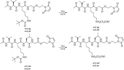 Scheme 2. Synthesis of trifluoroacetate derivatives 6g’, 6h’, 6m’, and 6n’.