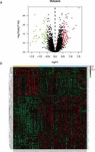 Figure 2. Identification of DEGs from three mRNA expression datasets. (a) Volcano plot of three mRNA expression datasets after integrated as one via R software. log FC, log2 Fold Change. (b) Heatmap of differentially expressed gene expression. The heatmap was generated using pheatmap package in R. The expression profiles greater than the mean are colored in red and those below the mean are colored in green. PAH, Pulmonary arterial hypertension
