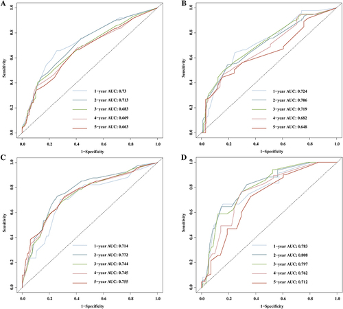 Figure 4 The receiver operating characteristics curves (AUROC) of 1-, 2-, 3-, 4- and 5-year recurrence-free survival (RFS) in the training (A) and validation (B) cohorts, and the AUROCs of 1-, 2-, 3-, 4- and 5-year overall survival (OS) in the training (C) and validation (D) cohorts.