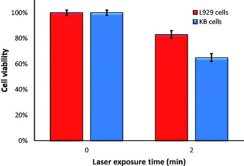 Figure 8. The viability of KB and L929 cells incubated with 40 μM of F-AuNPs for 6 h and then irradiated by laser (532 nm; 1 W/cm2; 2 min).