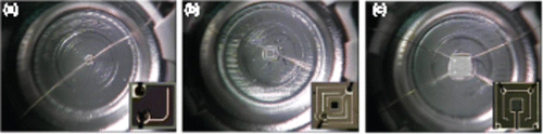 Figure 1. Image of (a) sample A, (b) sample B, and (c) sample C. The inset images are the top views of the chips.