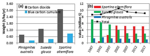 Figure 4. Carbon sequestration capacities and carbon sink values of typical types of vegetation