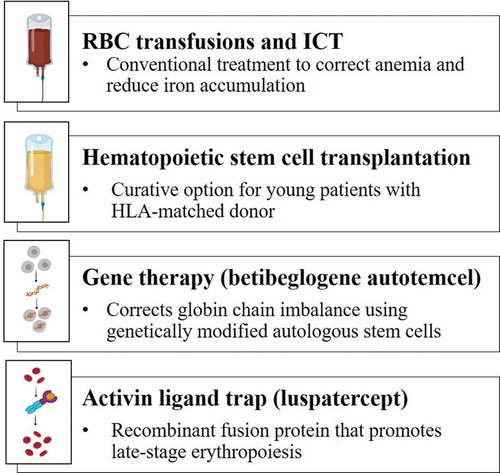 Figure 1. Currently approved treatments for transfusion-dependent β-thalassemia