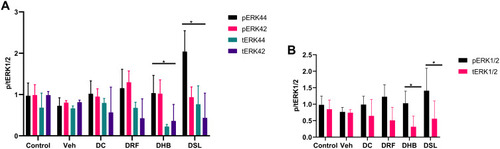 Figure 2 Protein expression of phospho and total ERK1/2. (A) individual phospho: total ERK1/2, (B) p/tERK1/2 at a glance, (C) probed blot. *p<0.05 vs control. n, 4–5.