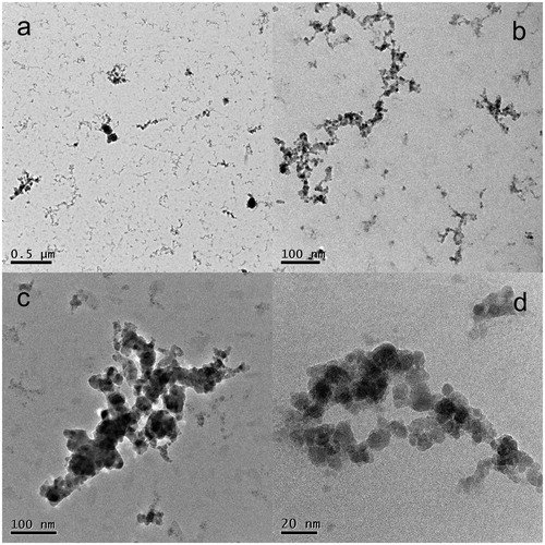 Figure 5. TEM images of sample Zn05G synthesized at TR=530 °C, QR=800 cm3/min and QDil=1800 cm3/min.