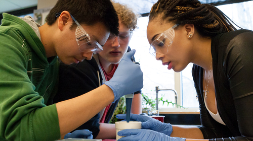 STEM Smart meetings bring together educators, advocates, policy makers, and STEM thought leaders. The resulting Briefs allow all educators to learn about the meetings’ valuable takeaways.