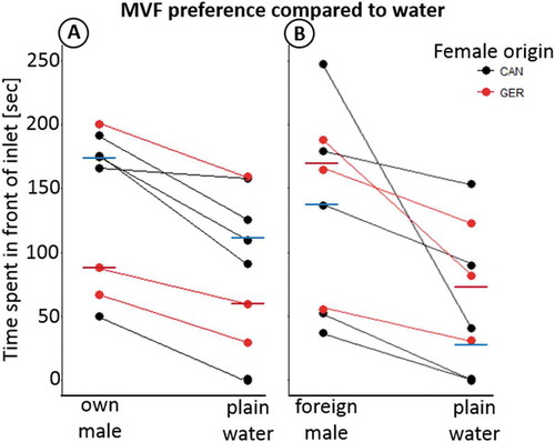 Fig. 2. Females are able to identify both the sympatric (A) and allopatric (B) MVF from water and spend more time (sec, y-axis) in front of the respective inlet. This difference is significant for the Canadian (z = – 2.032, P = 0.021, one-tailed) but only shows a trend in the German (z = – 1.604, P = 0.054, one-tailed) females in case of the sympatric male and only for the Canadian females in case of the allopatric male (z = – 2.023, P = 0.043) but not the German females (z = – 1.604, P = 0.11). In both cases (A and B) Fishers combined probability test shows an overall preference for MVF over plain water in both the sympatric male in A: P = 0.009 and the allopatric male in B: P = 0.03