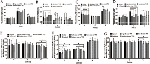 Figure 6 The results of expression level of CH50, IL-1, IL-6, TNF-ɑ, IFN-γ, IgG, and IgM in the serum detected using ELISA. (A) Serum CH50 concentration in rats; (B) Serum IL-1 concentration in rats; (C) Serum IL-6 concentration in rats; (D) Serum TNF-ɑ concentration in rats; (E) Serum IFN-γ concentration in rats; (F) Serum IgG concentration in rats; (G) Serum IgM concentration in rats. *P<0.05 vs the control group, #P<0.05 vs the cefadroxil group.