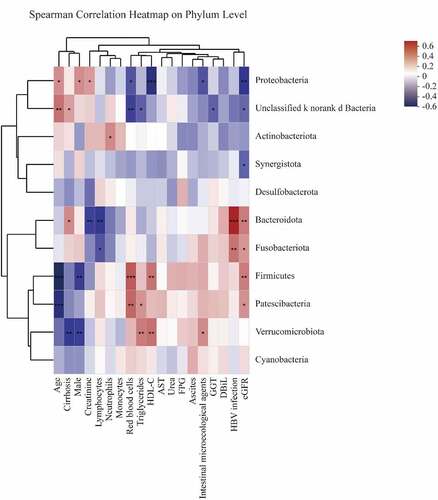 Figure 5. Spearman correlations between gut microbiota and clinical biochemical parameters on phylum level