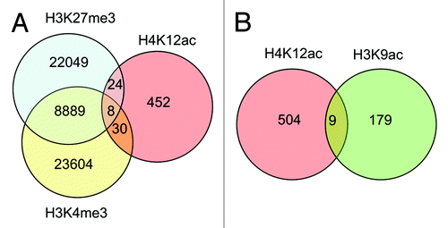 Figure 6. Venn diagram demonstrating co-localization of H4K12ac with methylated histones: H3K27me3, and H3K4me3 (A), and H3K9ac (B) within promoters of human sperm. Analysis was performed with data published by Hammoud et al.Citation14 and ENCODE CHIP-on Chip with H3K9ac from our previous study.Citation13