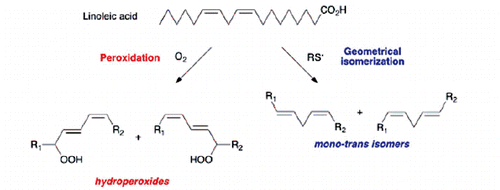 Scheme 1. Radical-based peroxidation and geometrical isomerization processes of linoleic acid (9cis,12cis-octadecadienoic acid, 9c,12c-18:2).