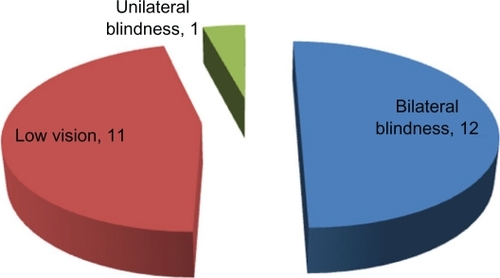 Figure 1 Distribution of blindness and low vision.