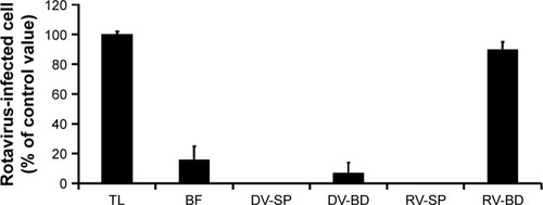 Figure 6 Infectivity in recovered rotavirus adsorbed onto the antibody-integrated MNBs.Notes: Rotavirus-infected cell lysate (10 µL) was diluted with PBS (500 µL) and then incubated with antibody-integrated MNBs. Fractions are as follows: 1) diluted rotavirus sample before incubation with the beads (BF), 2) bead fraction after incubation with anti-rotavirus antibody-integrated MNBs (RV-BD), 3) bead fraction after incubation with anti-dengue virus antibody-integrated MNBs (DV-BD), 4) supernatant fraction after incubation with the anti-rotavirus antibody-integrated MNBs (RV-SP), 5) supernatant fraction after incubation with the anti-dengue virus antibody-integrated MNBs (DV-SP), and 6) total sample containing the same quantity of rotavirus as in 10 µL of rotavirus-infected cell lysate (total fraction, TL). All fractions were subjected to an infection analysis using MA104 cells and IFA, as described in Figure S1. The number of rotavirus-infected cells was calculated as described in Materials and methods.Abbreviations: IFA, indirect fluorescent assay; MNBs, magnetic nanobeads.