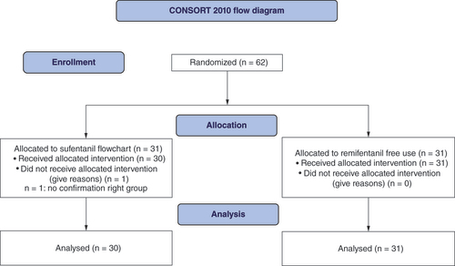 Figure 2. CONSORT flow diagram.CONSORT: Consolidated Standards of Reporting Trials.