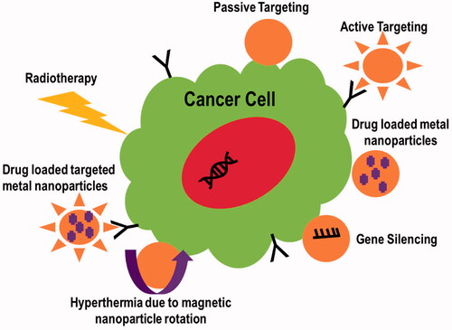 Figure 5. Mechanisms involved in cancer targeting.