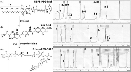 Figure 1. Scheme of folate-PEG-DSPE synthesis and structural confirmation using NMR spectra.